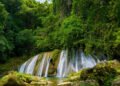 Reach Falls In Portland Jamaica Is A Hidden Tropical Treasure