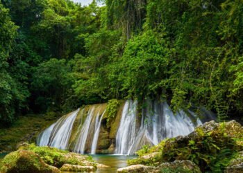 Reach Falls In Portland Jamaica Is A Hidden Tropical Treasure