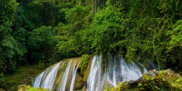 Reach Falls In Portland Jamaica Is A Hidden Tropical Treasure